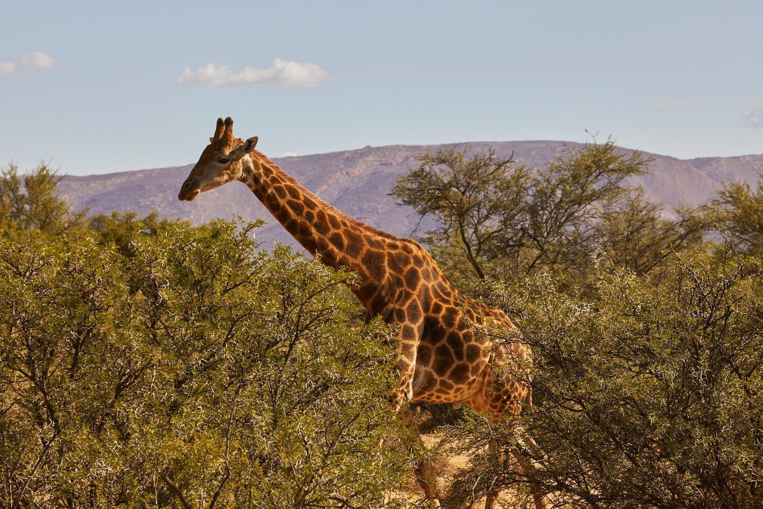 Protea Hotel By Marriott Nelspruit ネルスプロイト エクステリア 写真